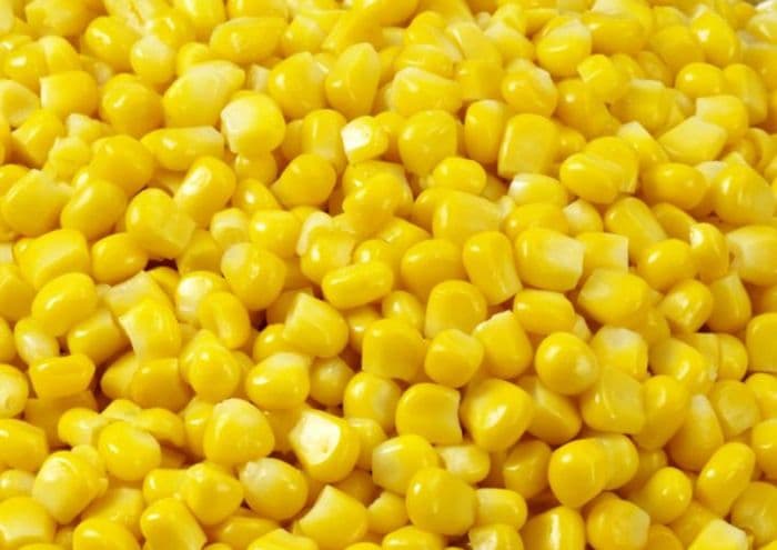 IQF frozen sweet corn kernels
