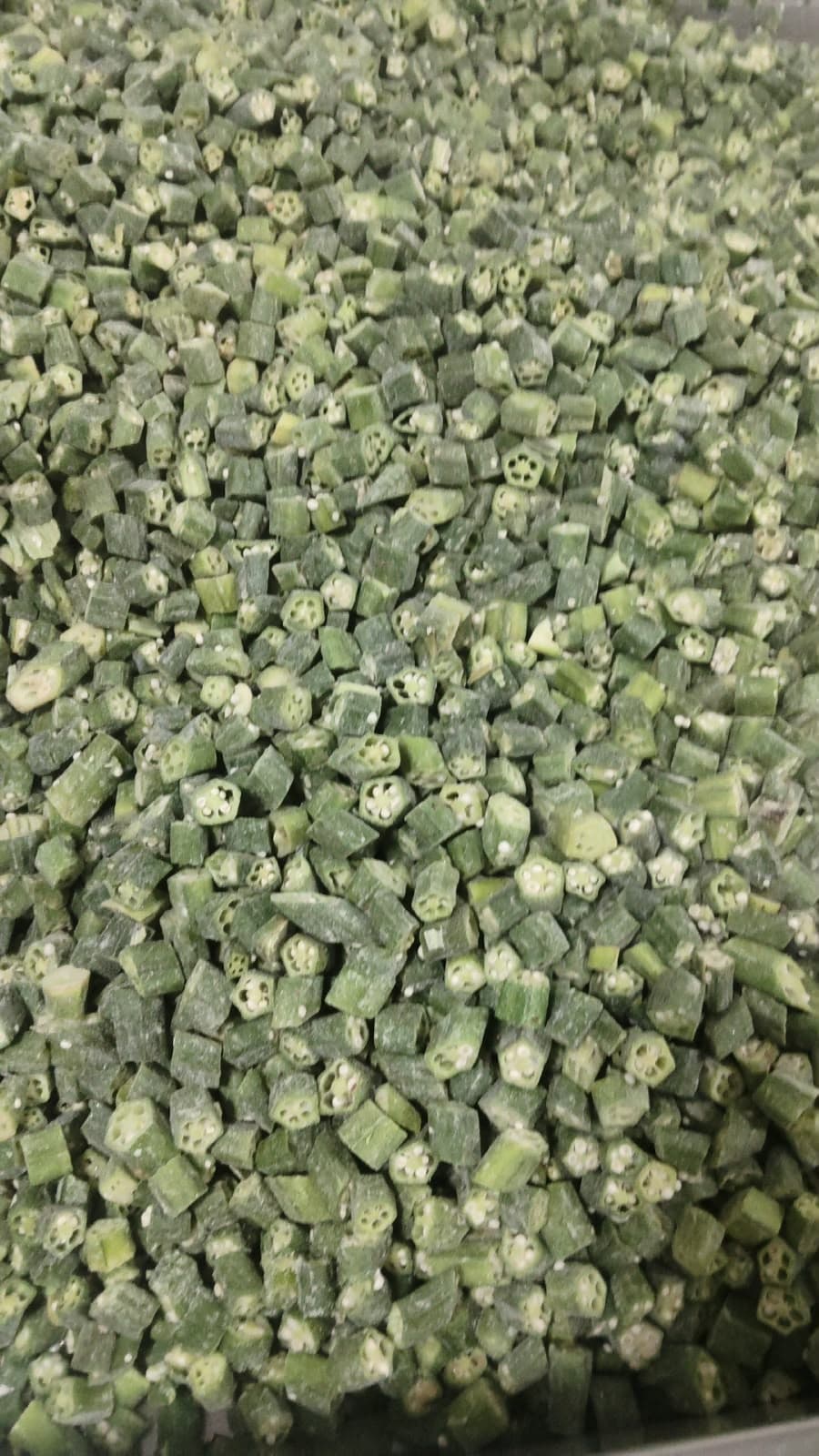 Frozen cut okra